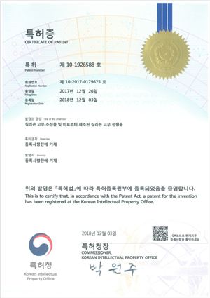 Silicone rubber composition and silicone rubber molded article made from it